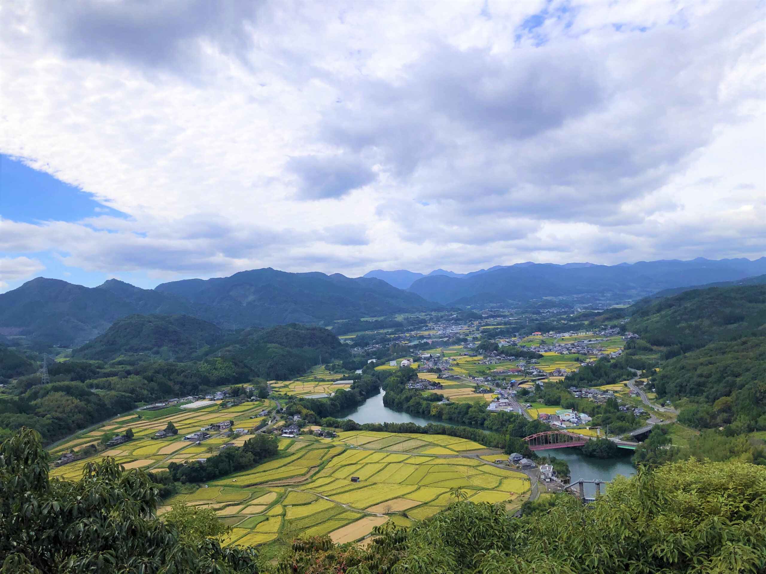 Tani – Local Planning